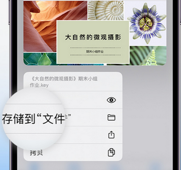 高阳apple维修中心分享iPhone文件应用中存储和找到下载文件