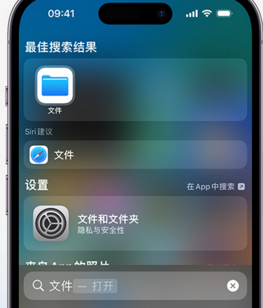 高阳apple维修中心分享iPhone文件应用中存储和找到下载文件 