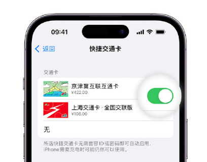 高阳apple维修点分享iPhone上更换Apple Pay快捷交通卡手绘卡面 