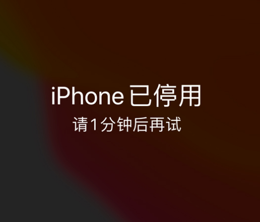 高阳苹果手机维修分享:iPhone 显示“不可用”或“已停用”怎么办？还能保留数据吗？ 