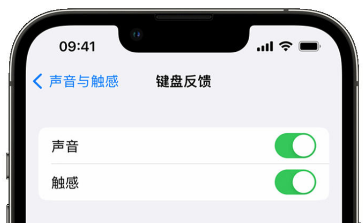 高阳苹果手机维修分享iPhone 14触感键盘使用方法 