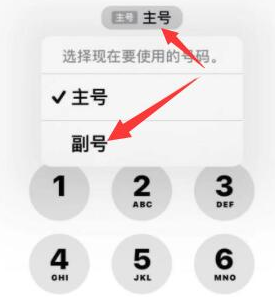 高阳苹果14维修店分享iPhone 14 Pro Max使用副卡打电话的方法 