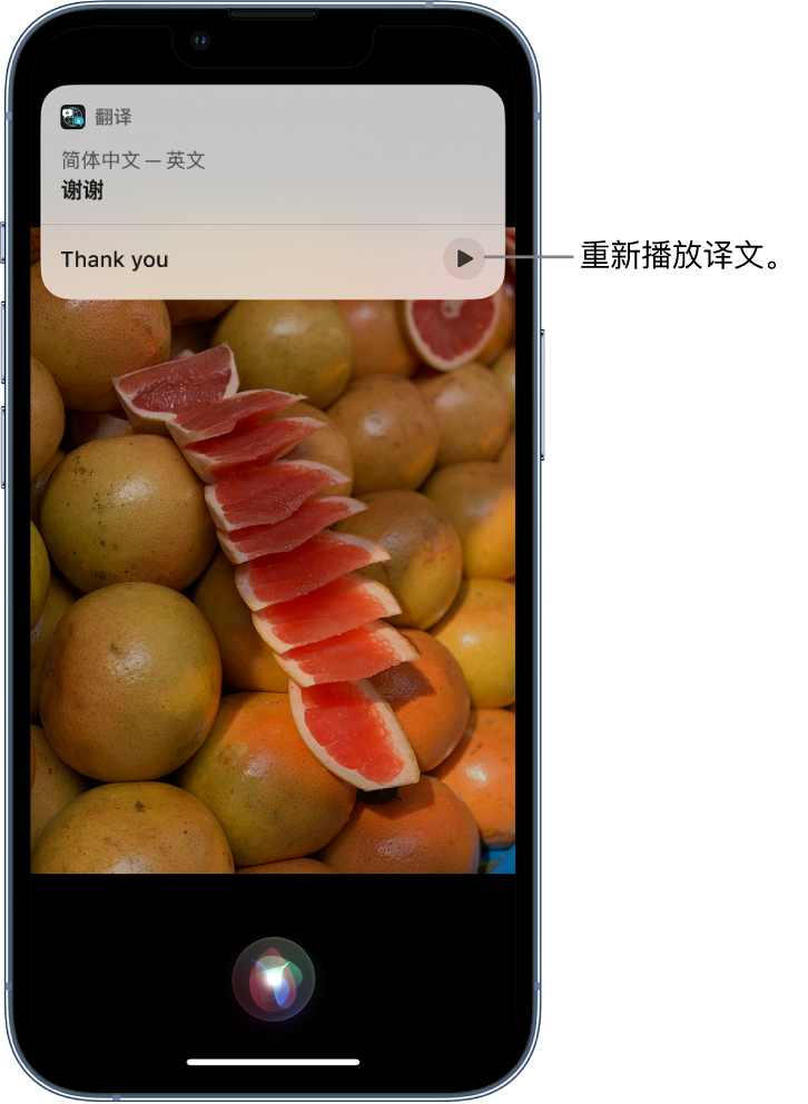 高阳苹果14维修分享 iPhone 14 机型中使用 Siri：了解 Siri 能帮你做什么 