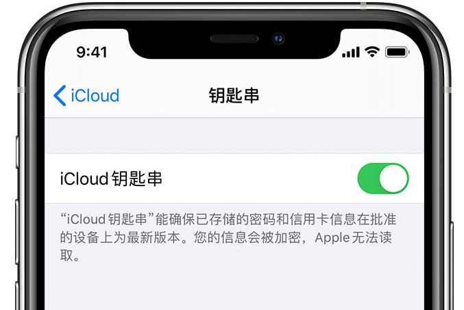 高阳苹果手机维修分享在 iPhone 上开启 iCloud 钥匙串之后会储存哪些信息 