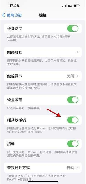 高阳苹果手机维修分享iPhone手机如何设置摇一摇删除文字 